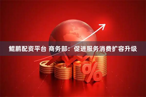 鲲鹏配资平台 商务部：促进服务消费扩容升级