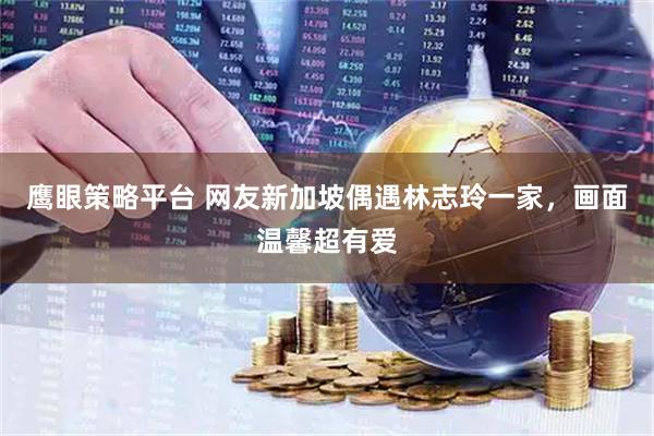 鹰眼策略平台 网友新加坡偶遇林志玲一家，画面温馨超有爱